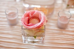 Votive Bloom