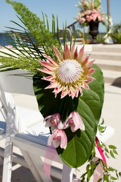 Wedding Chair Decor